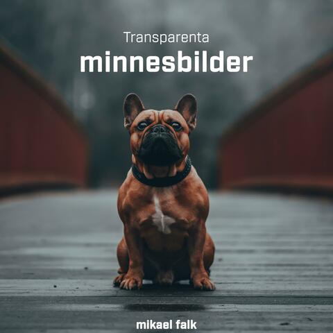 Transparenta minnesbilder