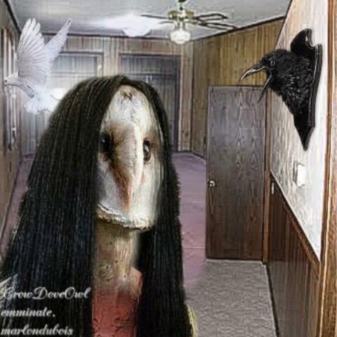 crowdoveowl (feat. Marlon DuBois)
