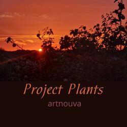 Project Plants