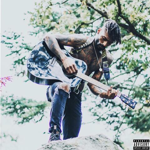 Songs About a Ladybug