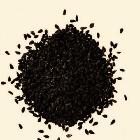 Black seed (Hip Hop Instrumental)