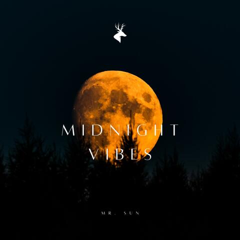 MIDNIGHT VIBES
