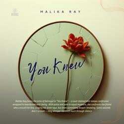 You Knew (feat. Malika Ray)