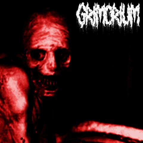 Asylum Of The Insane