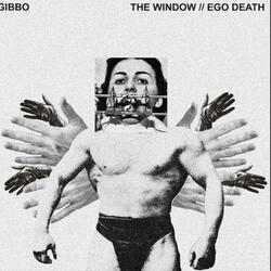 the window