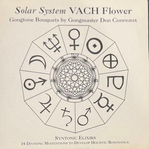Solar System VACH Flower Gongtone Bouquets