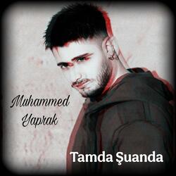 Tamda Şuanda