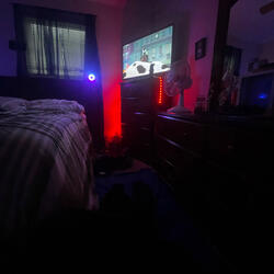 D Rose (only for da pros)