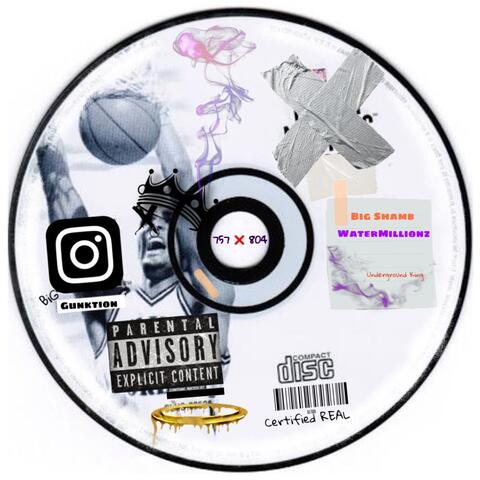 WaterMillionz, Vol. 4