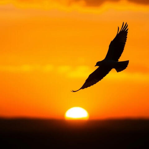 Fly high 다시 시작해