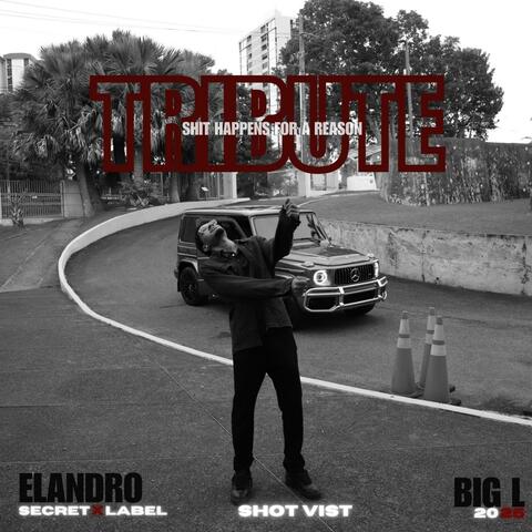 Tribute To Big L (Elandro).