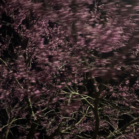 Regret (feat. Iliana Vlachos)