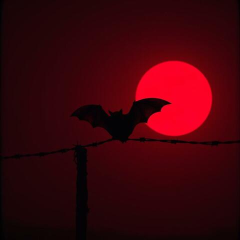 Blood moon