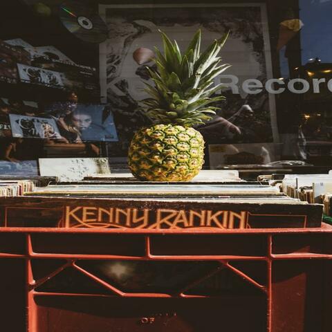 PALM DREAMS
