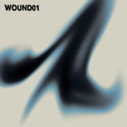 WOUND01 / II / THE LAKE