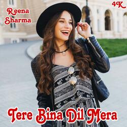Tere Bina Dil Mera