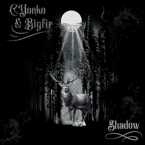 Shadow (feat. Big Fir)