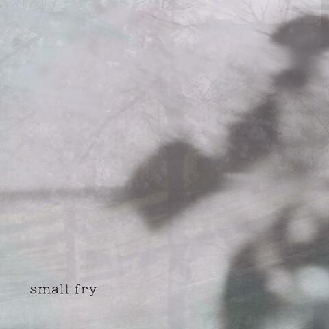 Small Fry