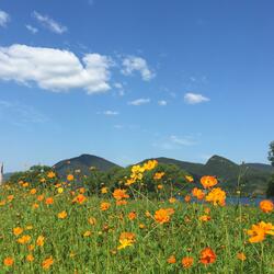 فَخَلَفَ مِنْ بَعْدِهِمْ خَلْفٌ أَضَاعُوا الصَّلاةَ