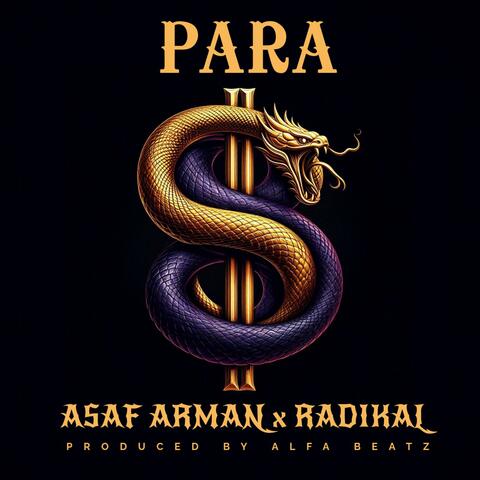 PARA (feat. Asaf Arman)