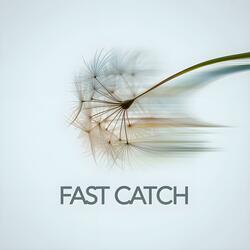 Fast Catch