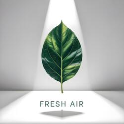 Fresh Air