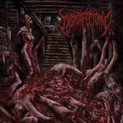 Rapist of Flesh (Dysmorfectomy)