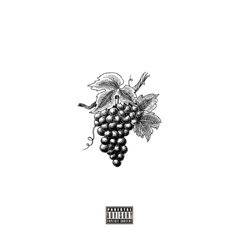 GRAPEVINE