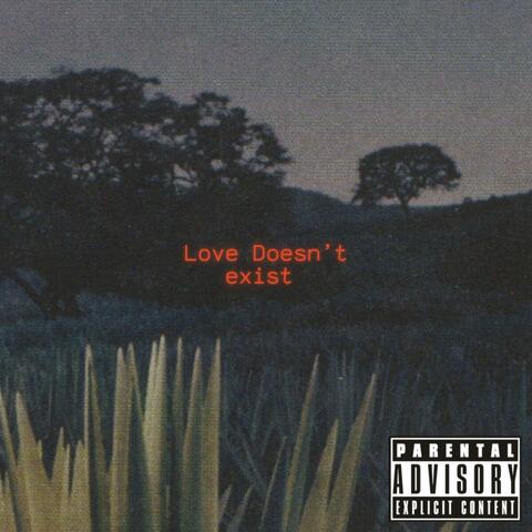 Love Doesn't Exist