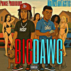 Big Dawg (feat. Mr702FanTastic)