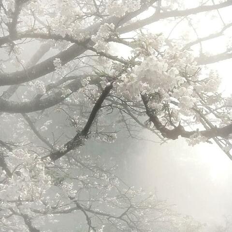 Garden of Promises