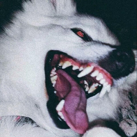 EGO_MODE_