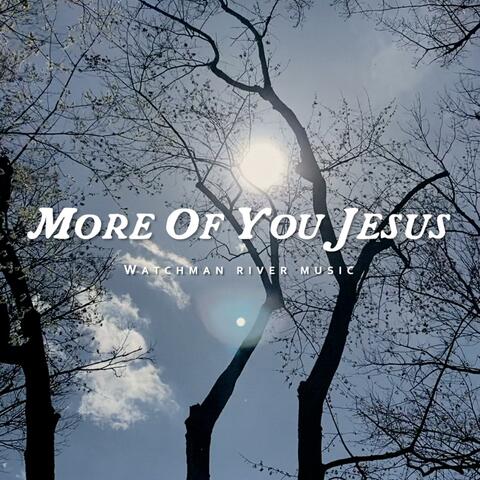 More of you Jesus