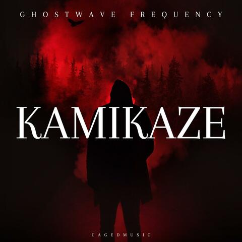 Kamikaze
