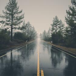 تلاوة من سورة السجدة