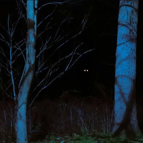 i'm sensing some anger, which is good