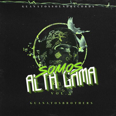 Alta Gama, Vol. 5