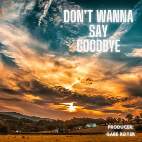 Don't Wanna Say Goodbye