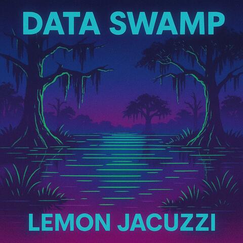 Data Swamp