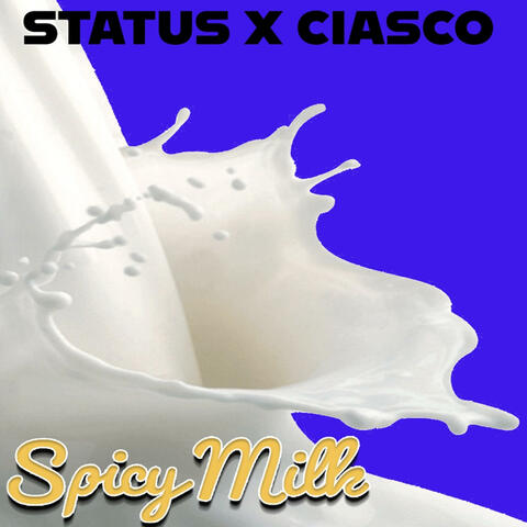 Spicy Milk