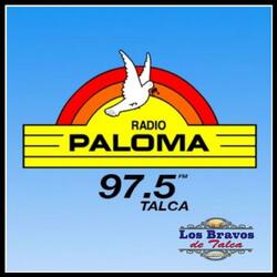 Cuecas pa` Radio Paloma