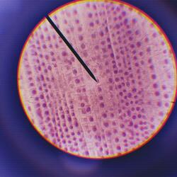 don't touch me, i'm turquoise!