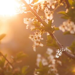 إِنَّ فِى خَلْقِ ٱلسَّمَٰوَٰتِ وَٱلْأَرْضِ وَٱخْتِلَٰفِ ٱلَّيْلِ وَٱلنَّهَارِ