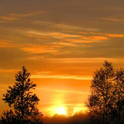 يَا أَيُّهَا الَّذِينَ آمَنُوا ادْخُلُوا فِي السِّلْمِ كَافَّةً