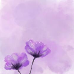 وَإِذَا طَلَّقْتُمُ النَّسَاء