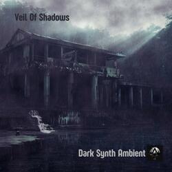 Veil Of Shadows