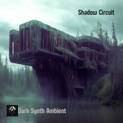 Shadow Circuit