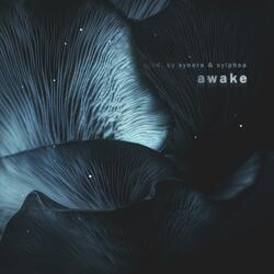 awake (feat. sylphea)