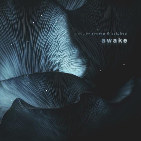 awake (feat. sylphea)
