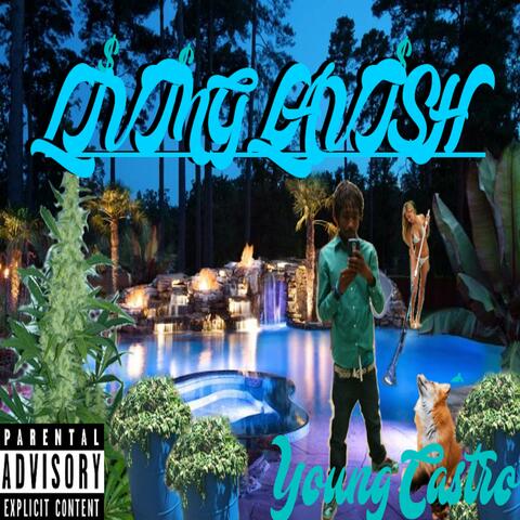 Almighty Flow Freestyle